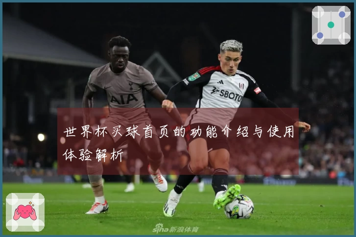 世界杯买球首页的功能介绍与使用体验解析