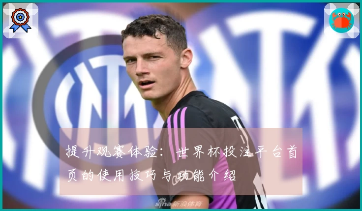 提升观赛体验：世界杯投注平台首页的使用技巧与功能介绍