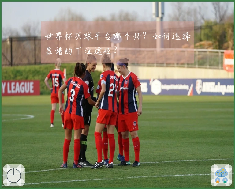 世界杯买球平台哪个好？如何选择靠谱的下注途径？