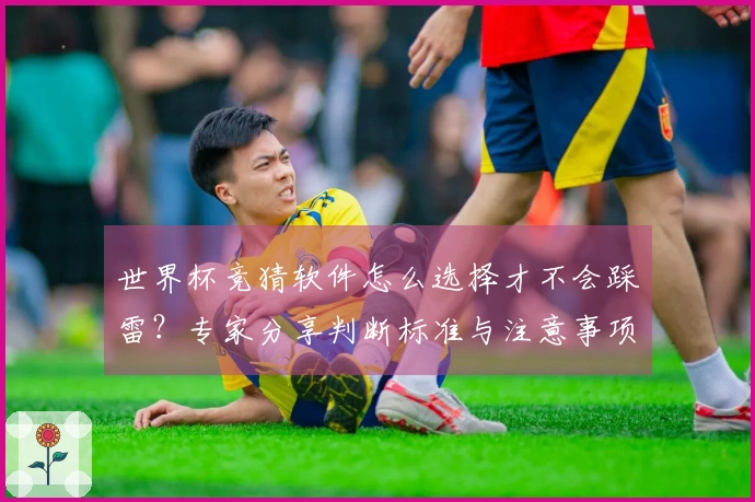 世界杯竞猜软件怎么选择才不会踩雷？专家分享判断标准与注意事项