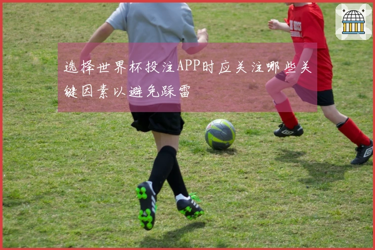选择世界杯投注APP时应关注哪些关键因素以避免踩雷
