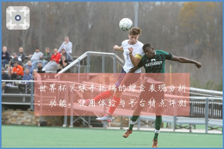 世界杯买球手机端的综合表现分析:功能、使用体验与平台特点评测