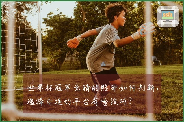 世界杯冠军竞猜的赔率如何判断，选择合适的平台有啥技巧？