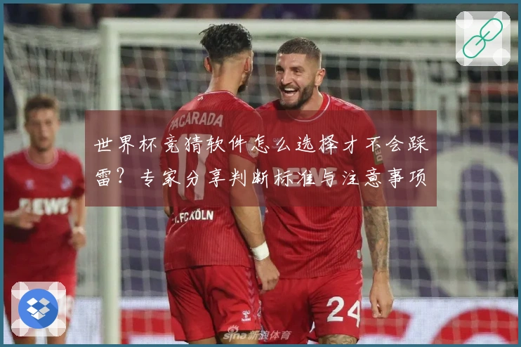 世界杯竞猜软件怎么选择才不会踩雷？专家分享判断标准与注意事项