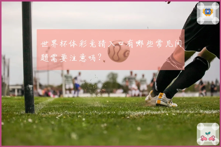 世界杯体彩竞猜入口有哪些常见问题需要注意吗？