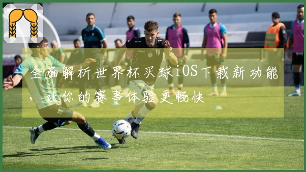 全面解析世界杯买球iOS下载新功能，让你的赛事体验更畅快