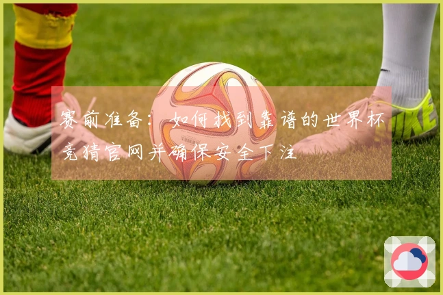 赛前准备：如何找到靠谱的世界杯竞猜官网并确保安全下注
