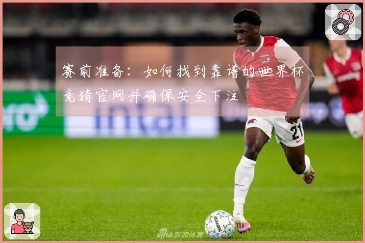 赛前准备：如何找到靠谱的世界杯竞猜官网并确保安全下注