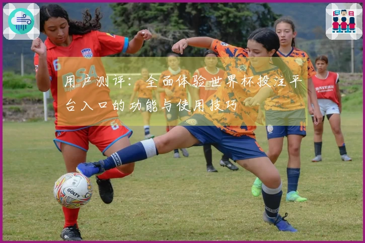 用户测评:全面体验世界杯投注平台入口的功能与使用技巧
