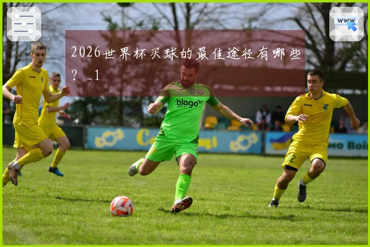2026世界杯买球的最佳途径有哪些？_1