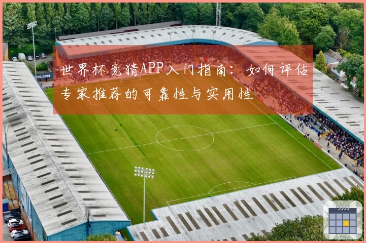 世界杯竞猜APP入门指南：如何评估专家推荐的可靠性与实用性