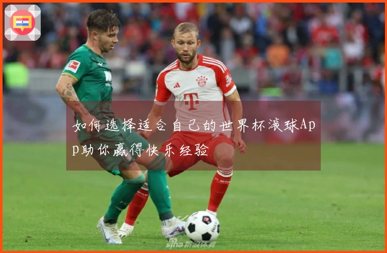 如何选择适合自己的世界杯滚球App助你赢得快乐经验