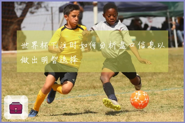 世界杯下注时如何分析盘口信息以做出明智选择