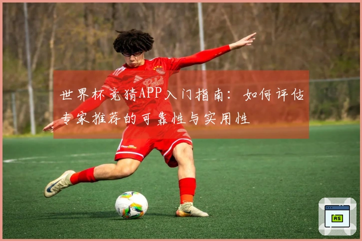世界杯竞猜APP入门指南：如何评估专家推荐的可靠性与实用性