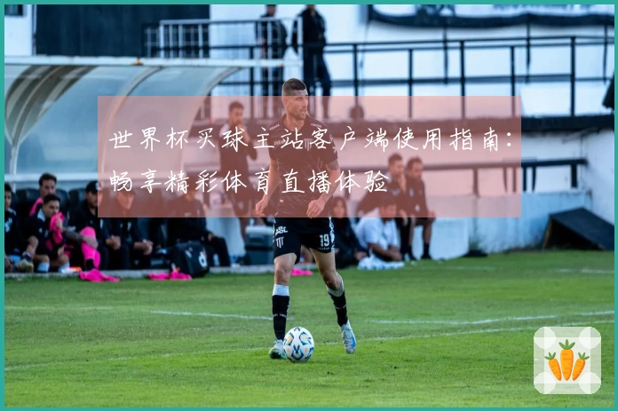 世界杯买球主站客户端使用指南：畅享精彩体育直播体验