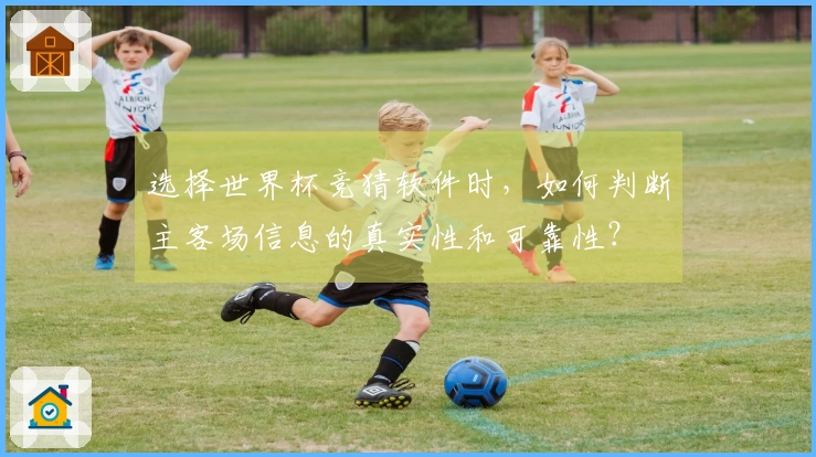 选择世界杯竞猜软件时,如何判断主客场信息的真实性和可靠性?