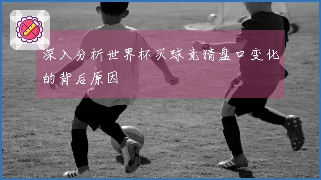 深入分析世界杯买球竞猜盘口变化的背后原因