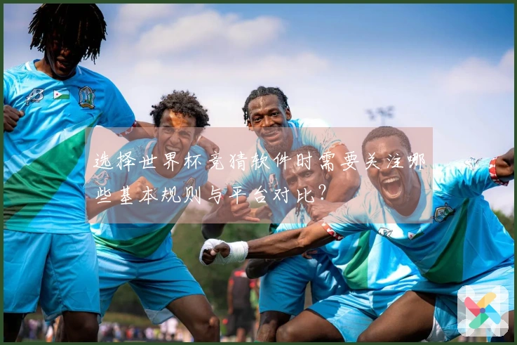 选择世界杯竞猜软件时需要关注哪些基本规则与平台对比？