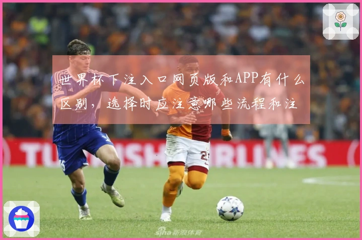 世界杯下注入口网页版和APP有什么区别，选择时应注意哪些流程和注意事项