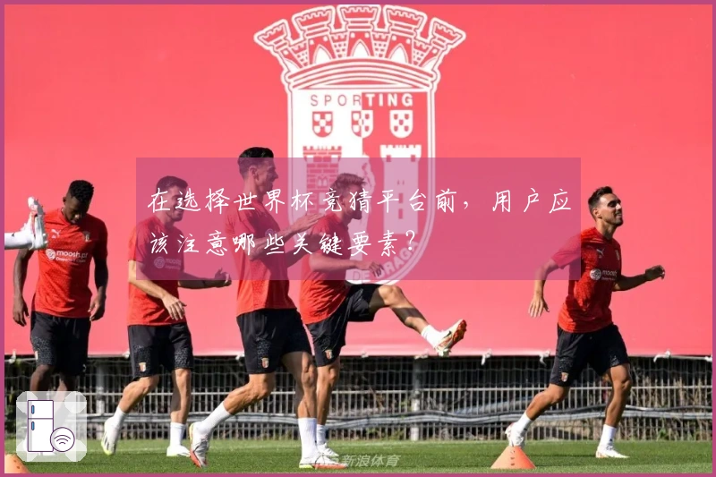 在选择世界杯竞猜平台前，用户应该注意哪些关键要素？