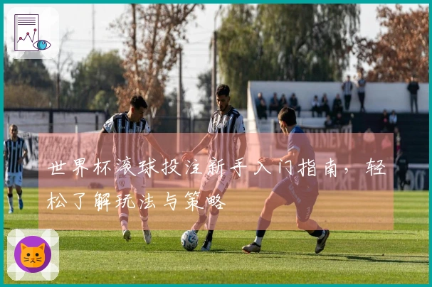 世界杯滚球投注新手入门指南，轻松了解玩法与策略