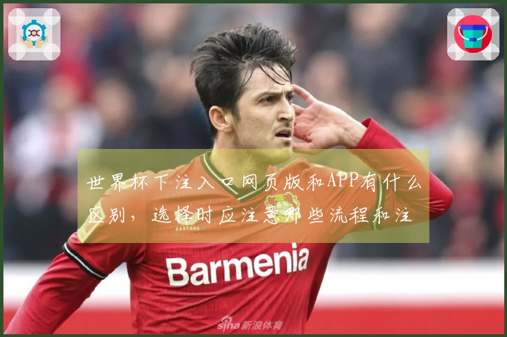 世界杯下注入口网页版和APP有什么区别，选择时应注意哪些流程和注意事项
