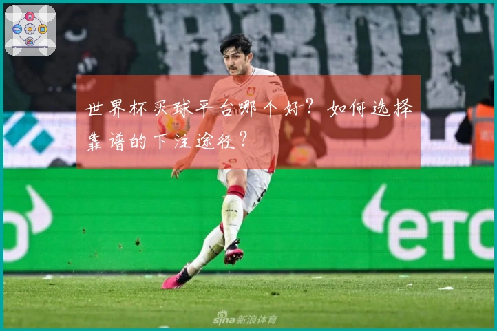 世界杯买球平台哪个好？如何选择靠谱的下注途径？