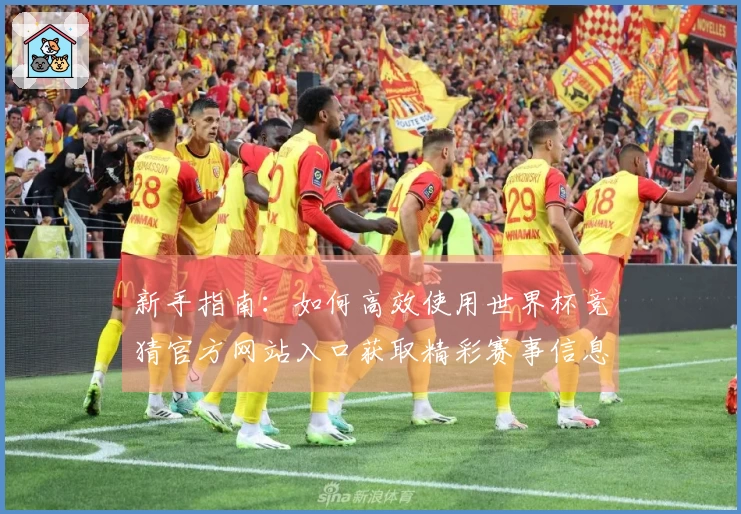 新手指南：如何高效使用世界杯竞猜官方网站入口获取精彩赛事信息